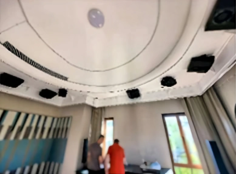 顶部扬声器布置 · 原始项目局部照片