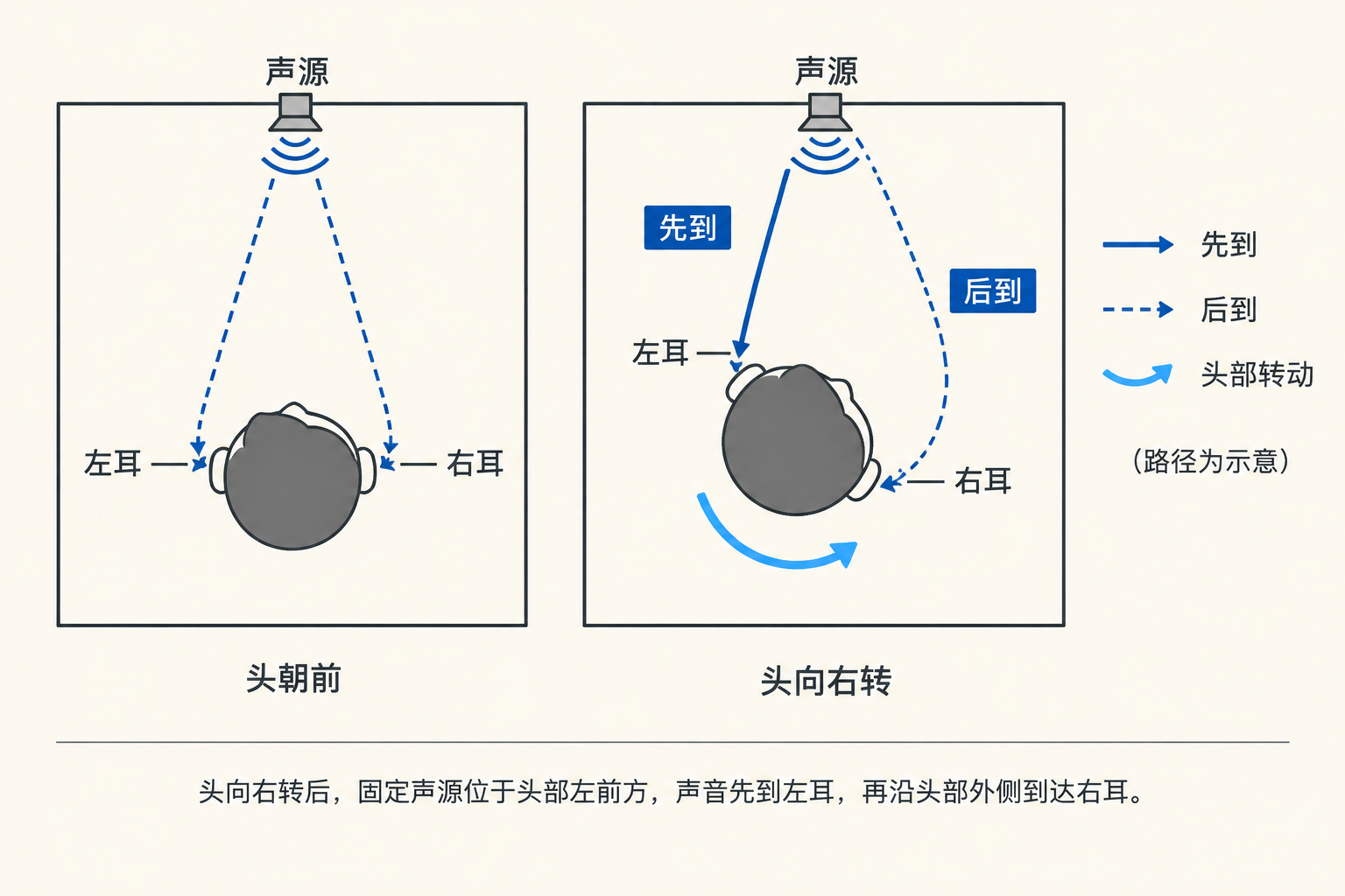 头向右转后，固定声源位于头部左前方，声音先到左耳，再沿头部外侧到达右耳。